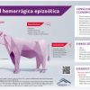 Mostrar Medidas es...