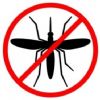 Mostrar Virus Fieb...